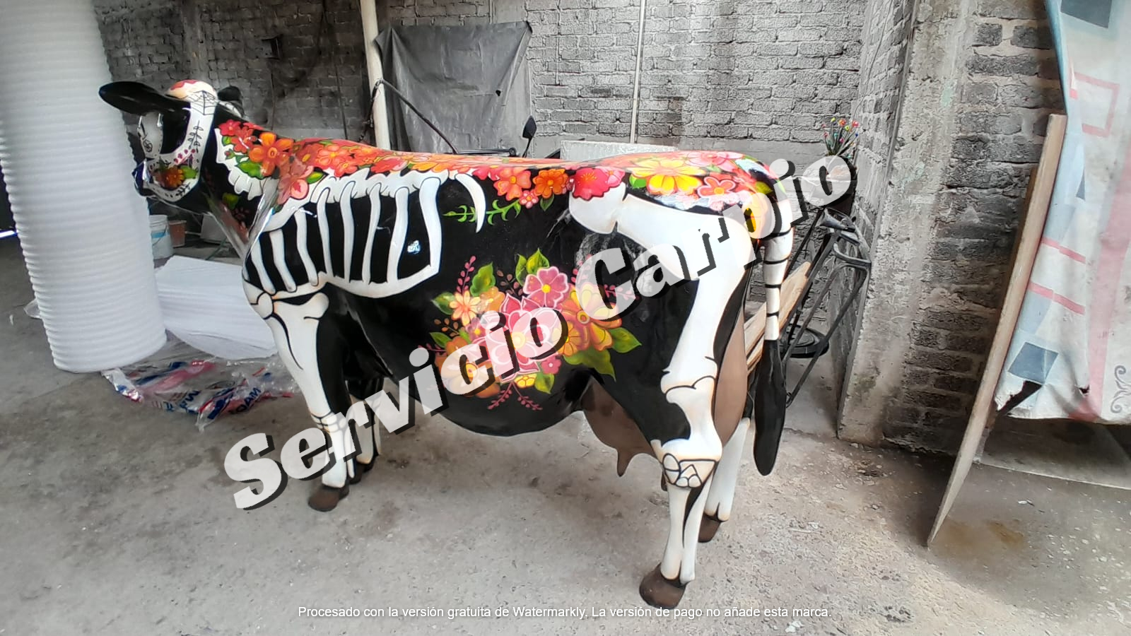 whatsapp image 2025 09 10 at 9.28.52 am