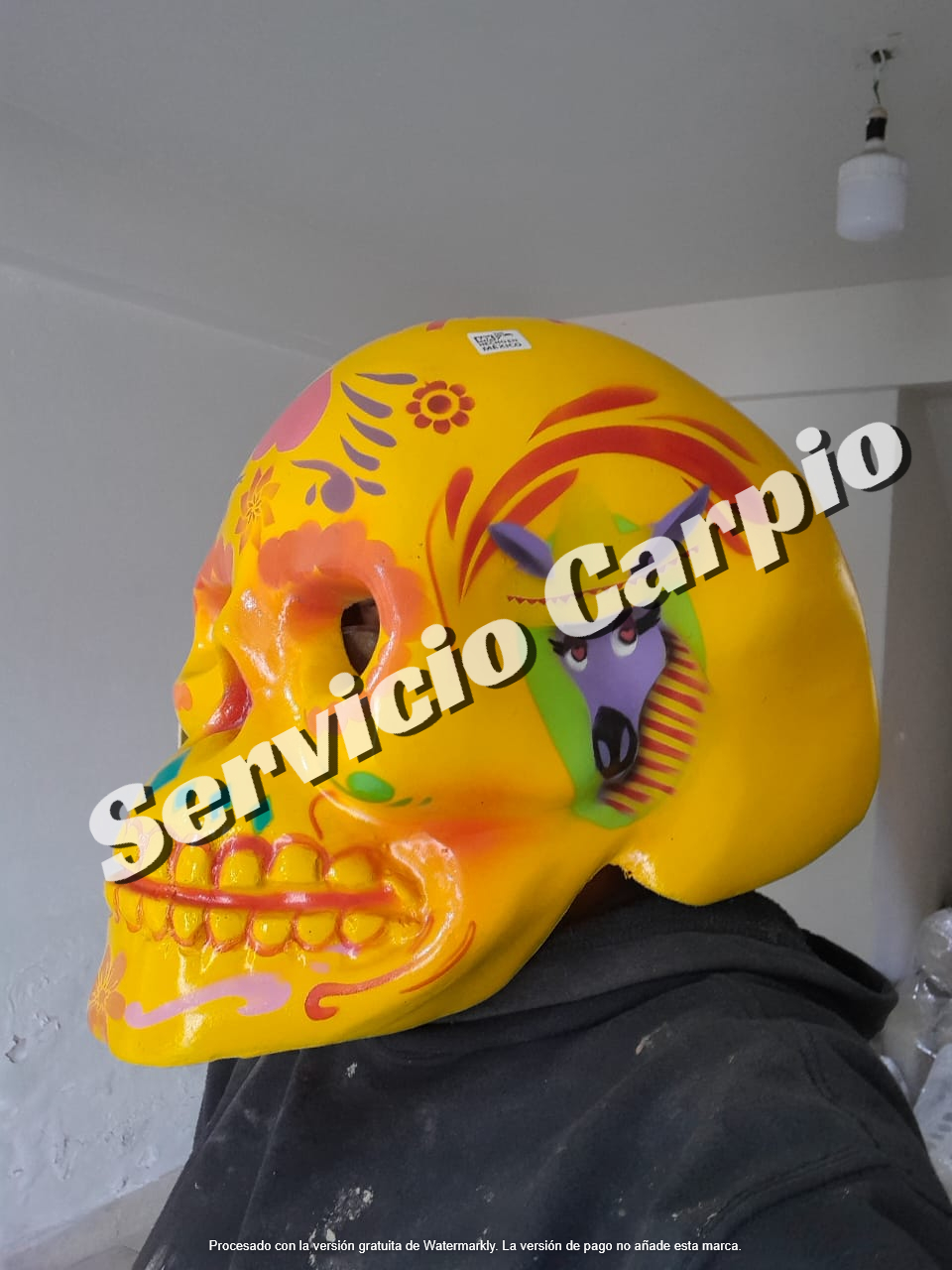 whatsapp image 2025 09 10 at 9.29.21 am