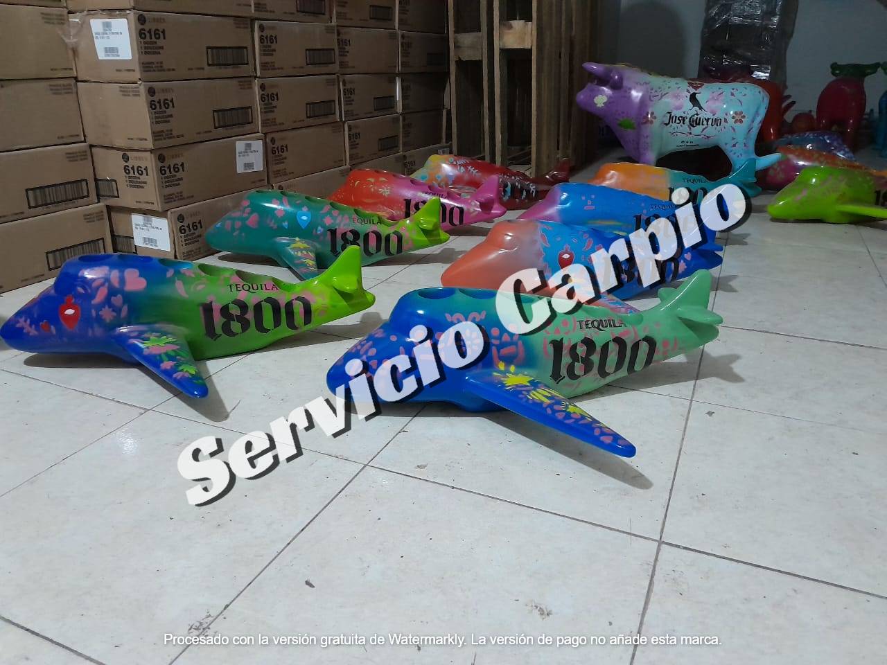 WhatsApp Image 2025 09 10 At 9.29.42 AM 1